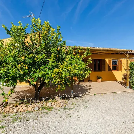 Yourhouse Lemontree Villa Lloseta