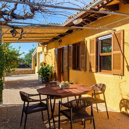 Yourhouse Lemontree *